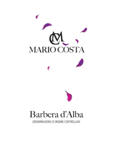 バルベーラ・ダルバ 2018/ マリオ・コスタ　Barbera d'Alba / Mario Costa