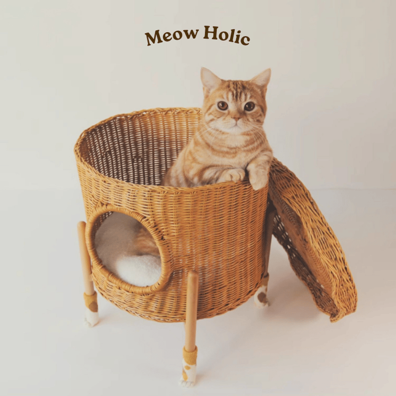 Meow Holic