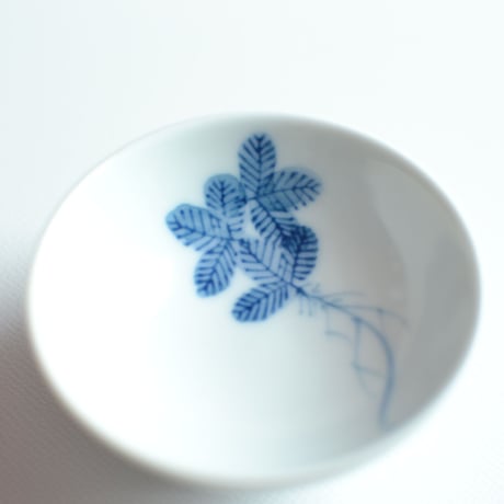 sakazuki 根引き松