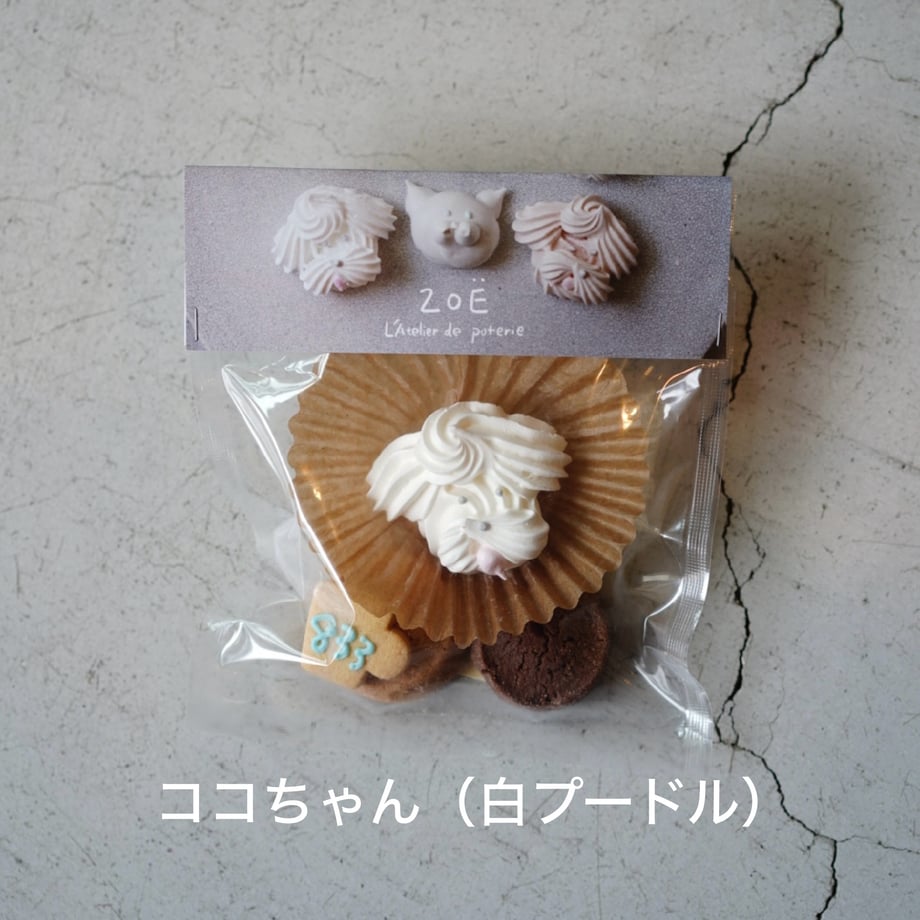 667fa25051afd101a0935dff