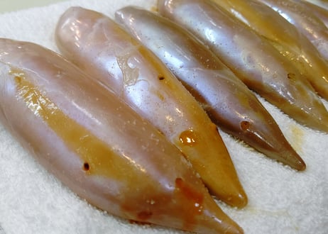 自家製 イカの塩辛 　80g×２パック