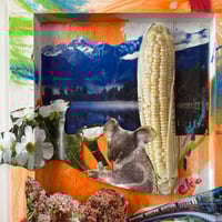 絵本「すべては神様が創られた」 文・奥田知志 絵・黒田征太郎 （委託