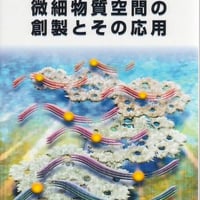 微細物質空間の創製とその応用<増補改訂版>
