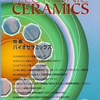 マテリアル インテグレーション 2005年6月号