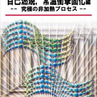 セラミックスの高速焼結(2)　 自己燃焼,常温衝撃固化編 ------究極の非加熱プロセス-----