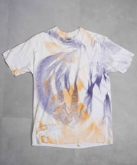 90s SpringFord painting T