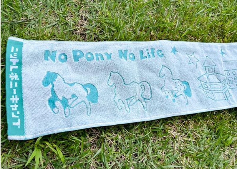 【ピノノ】EBミッドナイトロビンプレート＆クリスマスドレッサーティータオル NORQAIN Independence JP Black Mother of Pearl ノルケイン