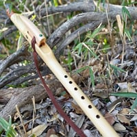 Native American Flute by Quetzalcoatlmusicサザン・フルート key A （440Hz)イエローシダー＆マラカイト