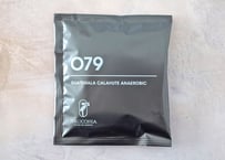 PHILOCOFFEA    079 グアテマラ カラウテ アナエロビック (中煎り)