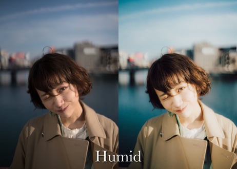 Humid  (About $60) - Lightroom Presets