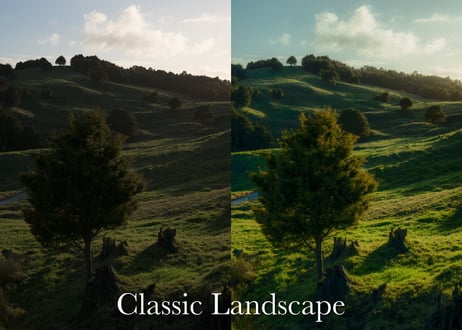 Classic (About $60) - Lightroom Presets