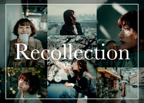 Recollection (About $30) - Lightroom Presets