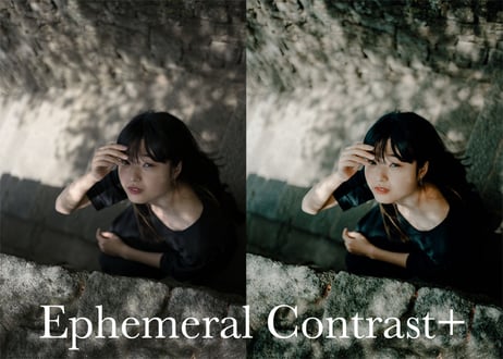 Kuga Collection (About $90)- Lightroom Premium Presets Pack