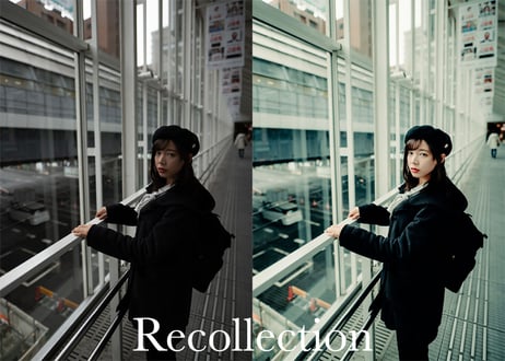 Recollection (About $30) - Lightroom Presets