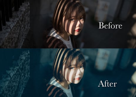 Classic (About $60) - Lightroom Presets