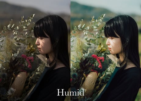 Humid  (About $60) - Lightroom Presets