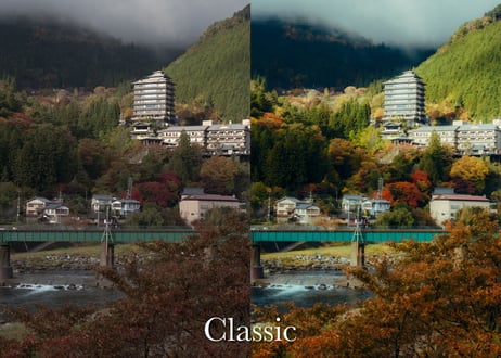 Classic (About $60) - Lightroom Presets