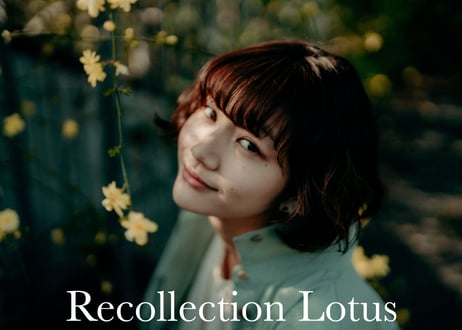 Recollection (About $30) - Lightroom Presets