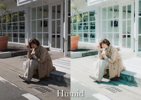 Humid  (About $60) - Lightroom Presets