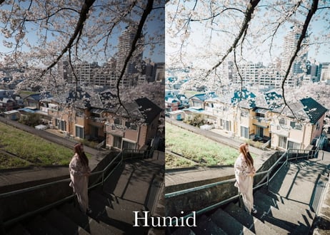 Humid  (About $60) - Lightroom Presets