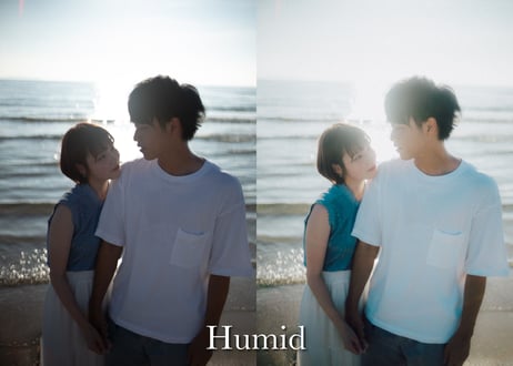 Humid  (About $60) - Lightroom Presets