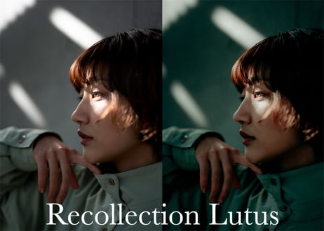 Recollection (About $30) - Lightroom Presets