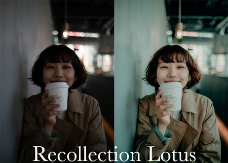 Recollection (About $30) - Lightroom Presets