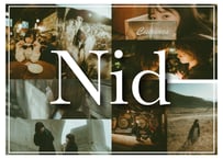 Nid (About $35) - Lightroom Presets