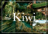Kiwi (About $30) - Lightroom Presets