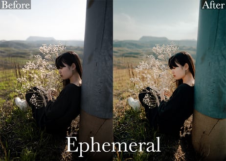 Kuga Collection (About $90)- Lightroom Premium Presets Pack