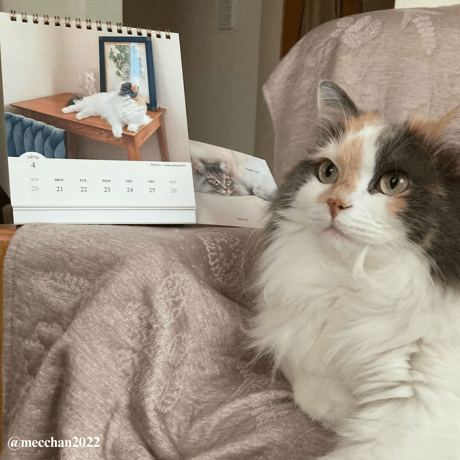 2025 Calendar No.07