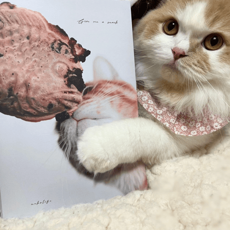 Photo Book " Give me a snack "