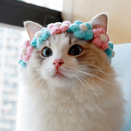 cat collar｜pink×blue flower