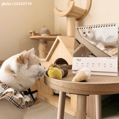 Neko Life 2024 Calendar｜weekly vol.02