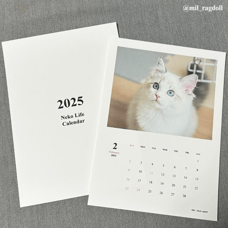 2025 Calendar Monthly