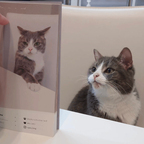 Photo Book " Give me a snack "
