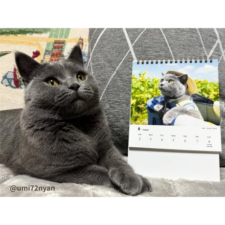 2026 Calendar No.10
