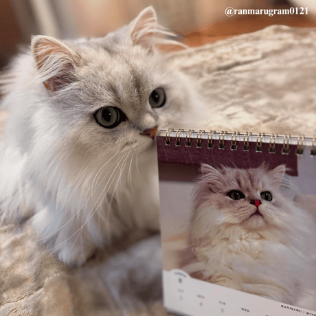 2025 Calendar No.07