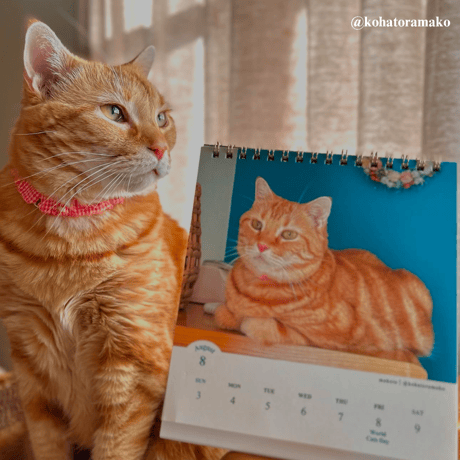 2025 Calendar No.02