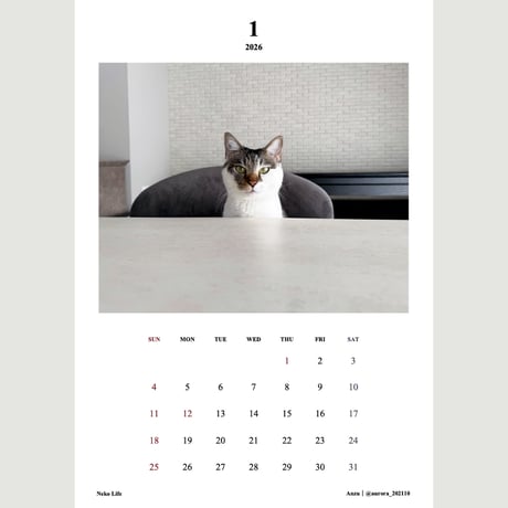 2026 Calendar Monthly