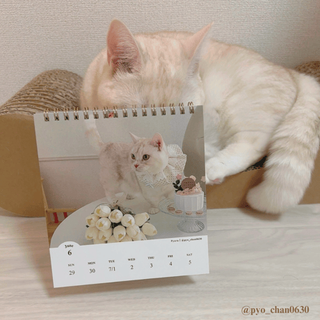 2025 Calendar No.06