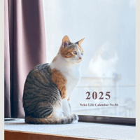 2025 Calendar No.06