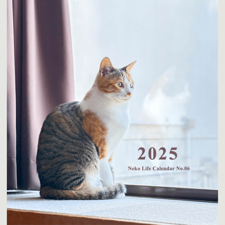 2025 Calendar No.06