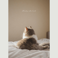 Photo Book " Lovely cats head " No.2