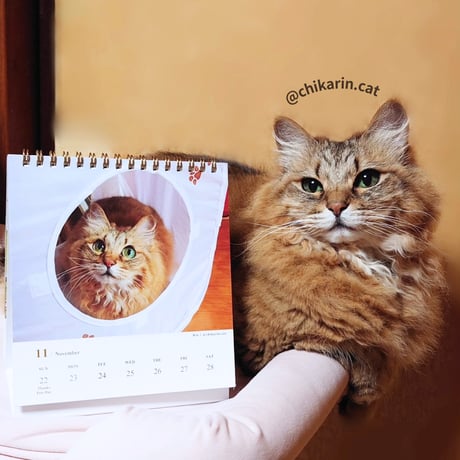 2026 Calendar No.06