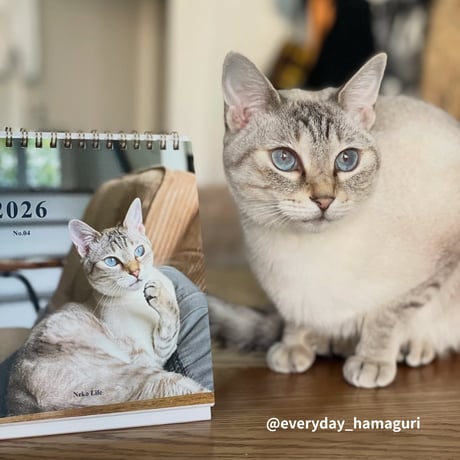 2026 Calendar No.04