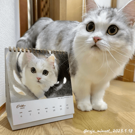 Neko Life 2024 Calendar｜weekly vol.01