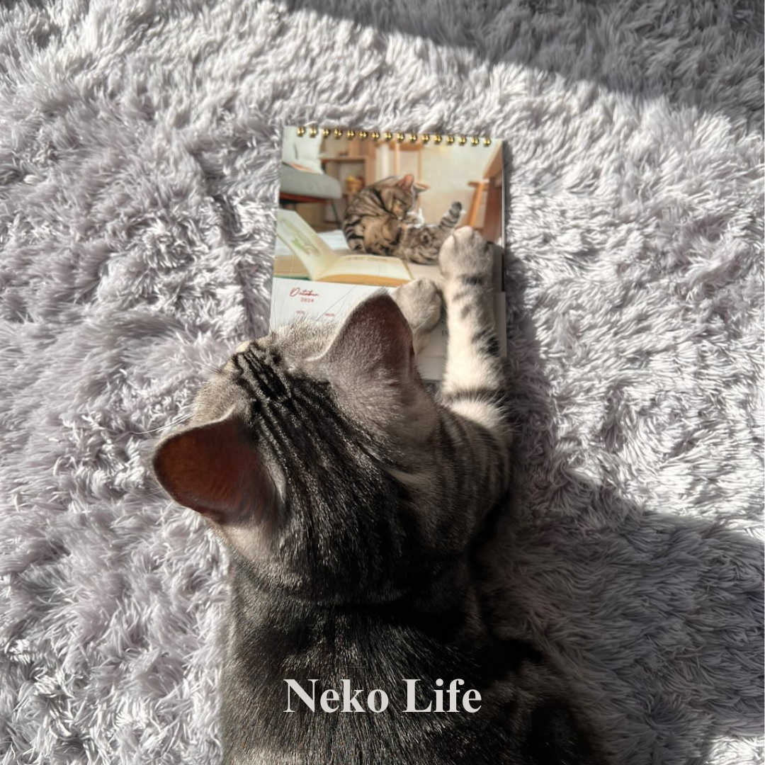 ねこさん① Neko Life vol.03 掲載ねこさん発表 | Neko Life
