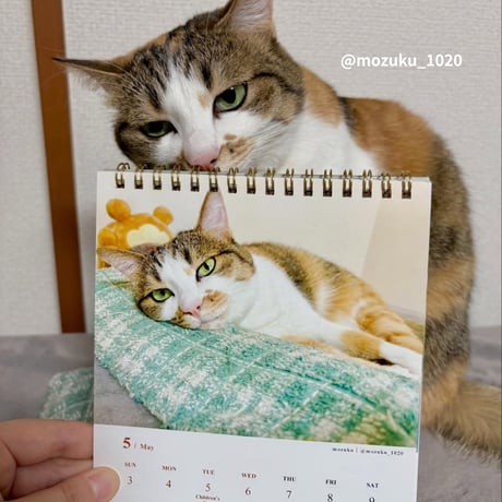 2026 Calendar No.07