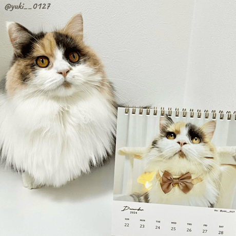 Neko Life 2024 Calendar｜weekly vol.05